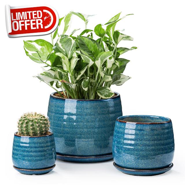 Ceramic Plant Pots with Drainage Holes and Saucers