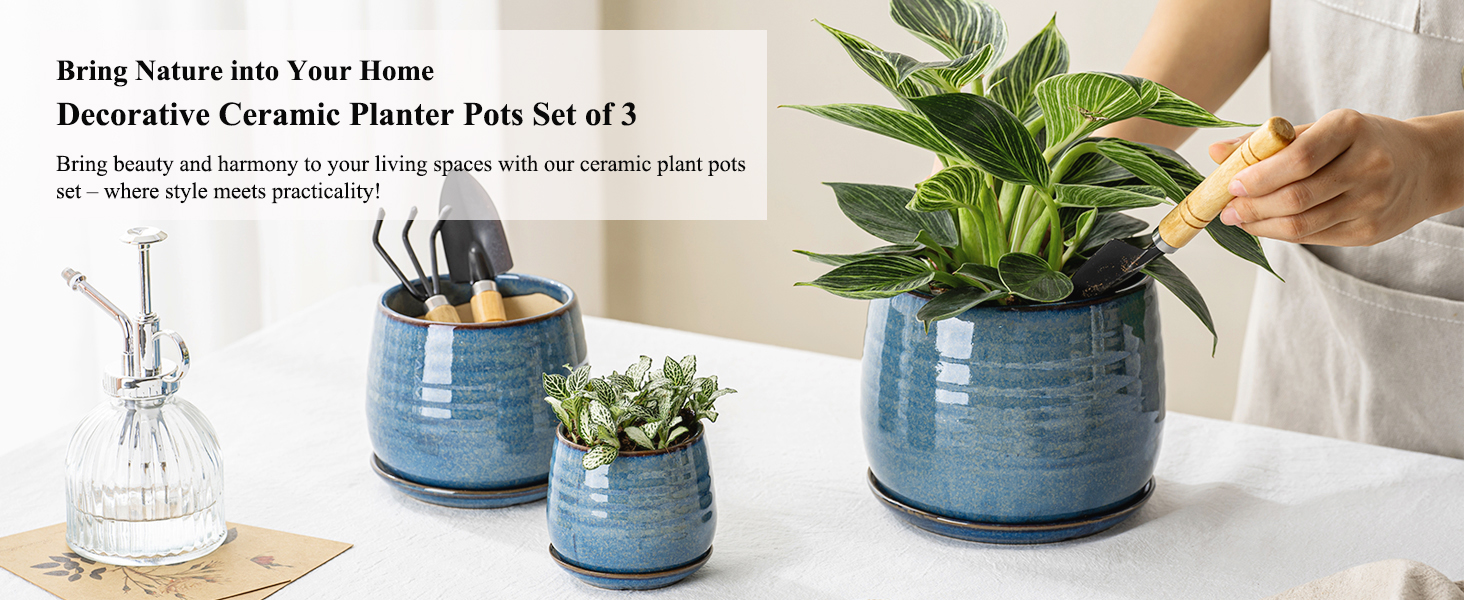 plant pots