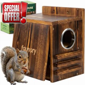 Squirrel House
