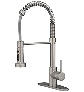 BESy Kitchen Faucet with Pull Down Sprayer, High-Arc Single Handle Single Lever Spring Rv Kitchen...