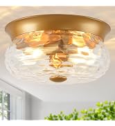 Black Flush Mount Ceiling Light Fixtures, 2-Light Ceiling Mount for Modern with Clear Air Bubble ...