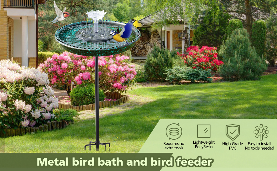 bird bath