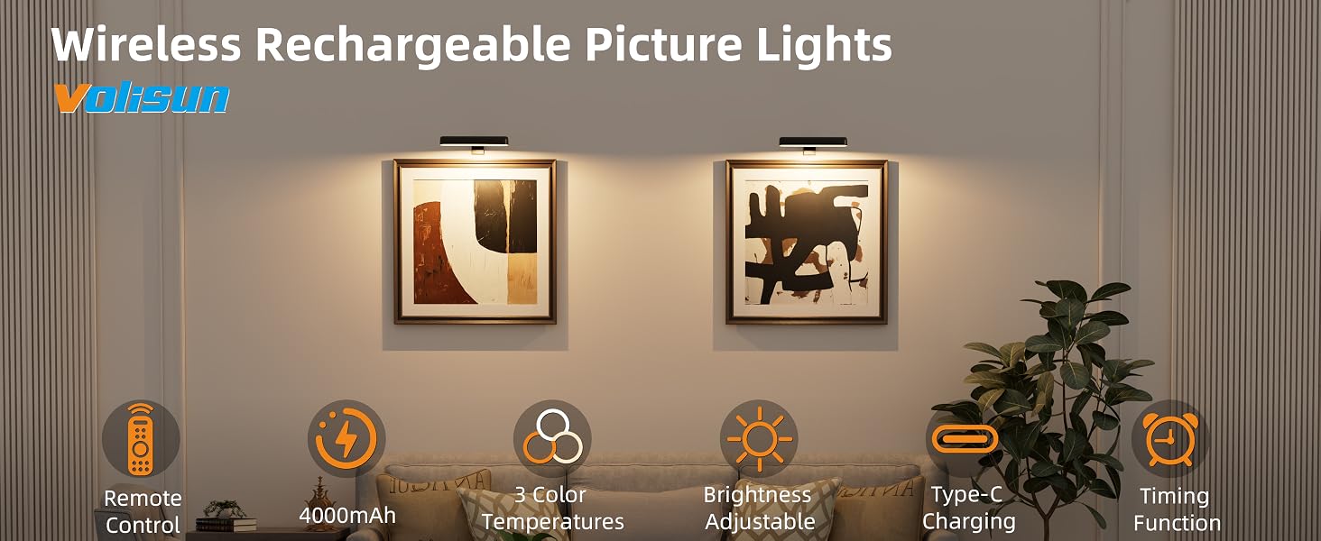 VOLISUN Picture Lights