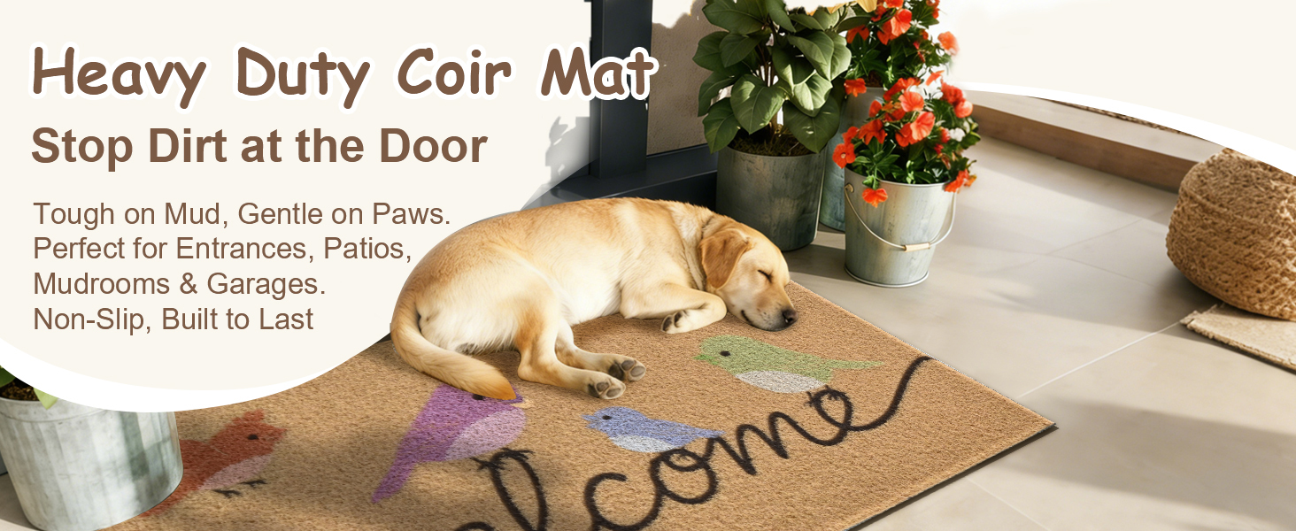 RUG