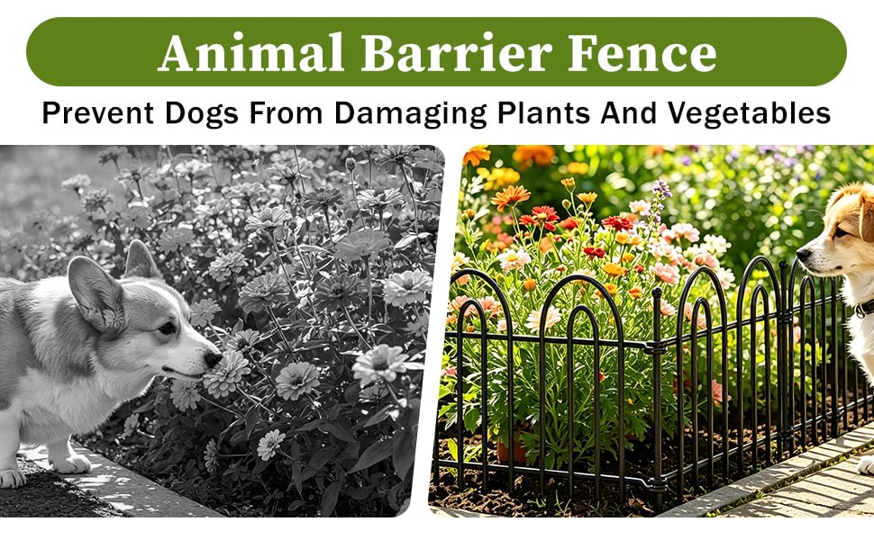 garden fence border