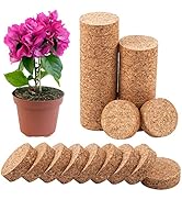 Biubee 18 Pack Decorative Faux Dried Moss Balls- 6pcs 3.1" Artificial Green Plant Mossy Globes+ 1...