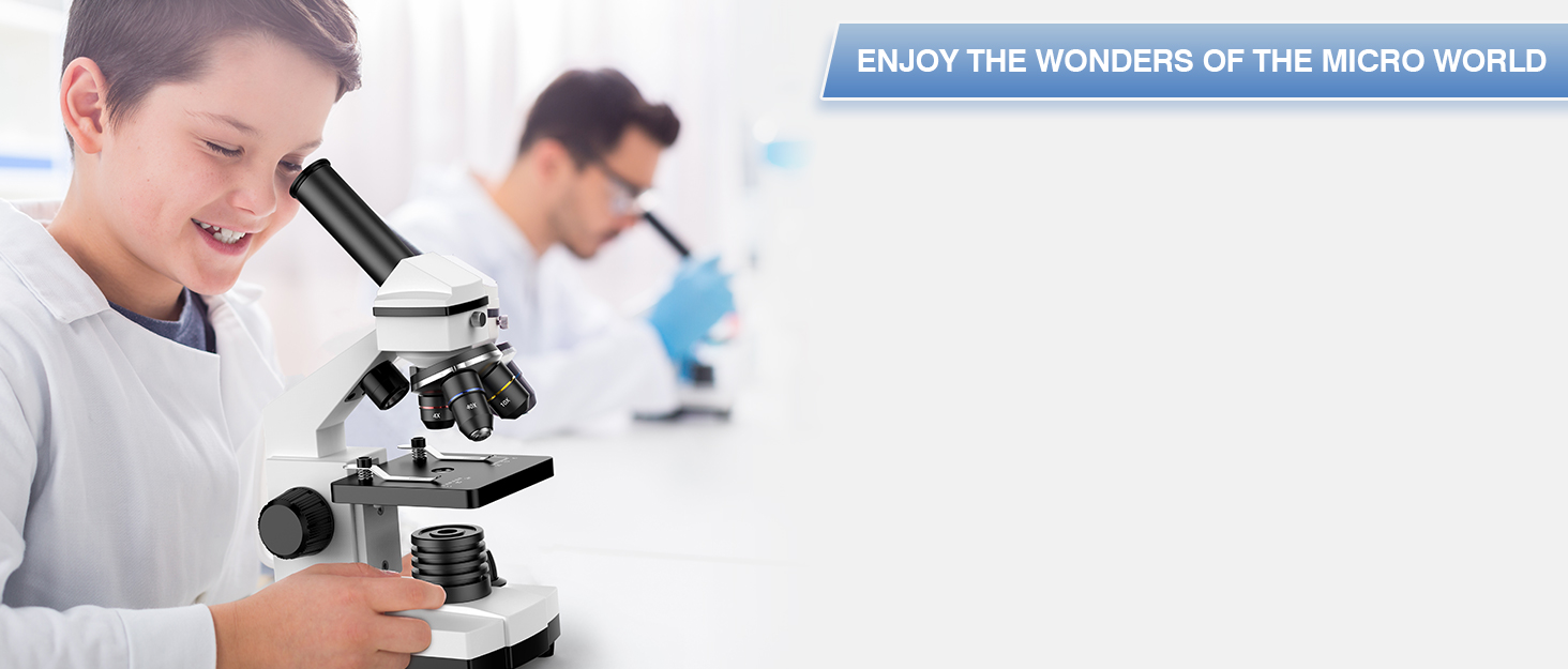 Compound Binocular Microscope