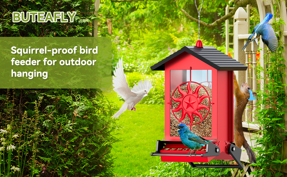 squirrel proof bird feeders