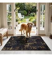 Sasttie 2x3 Throw Area Rug, Modern Abstract Small Rug, Pink & Blue | Soft Faux Wool, Non-Slip Bac...