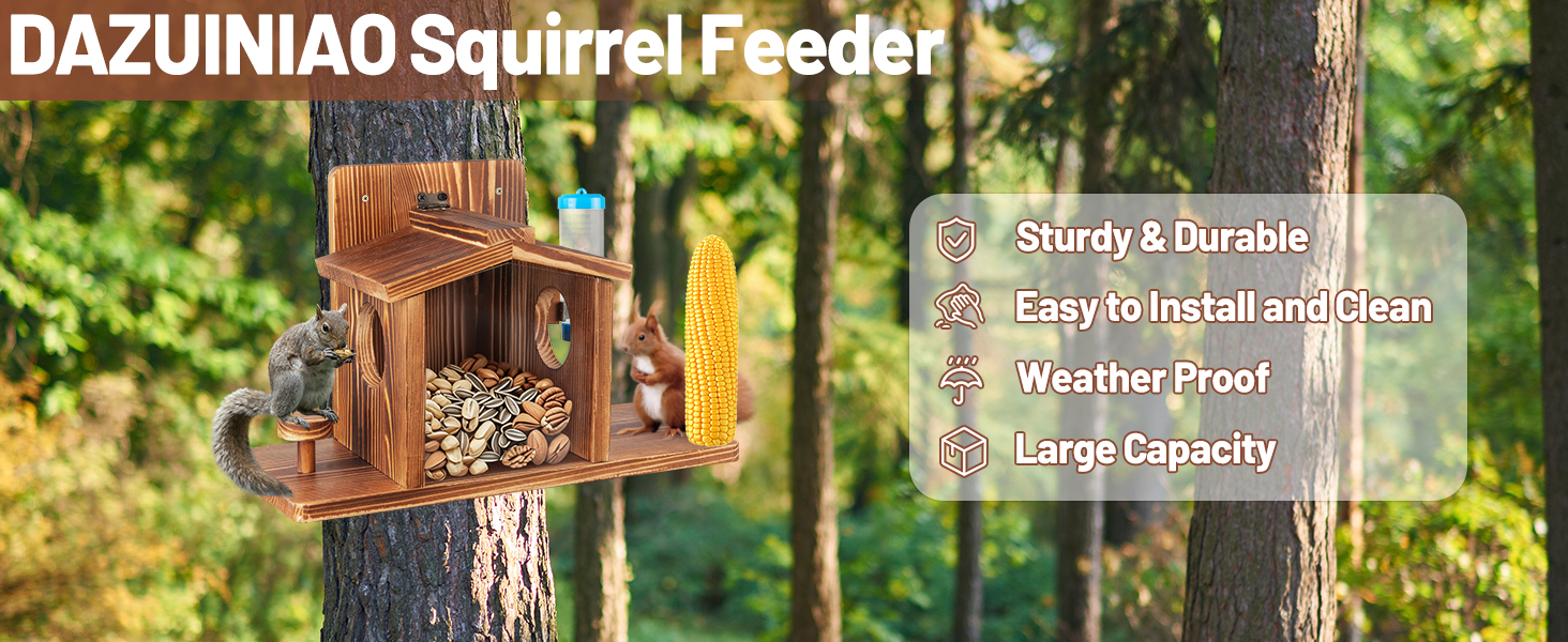 Squirrel Feeder