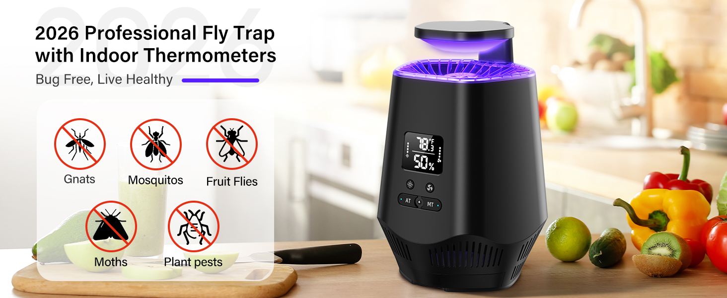 Fruit Fly Traps for Indoors