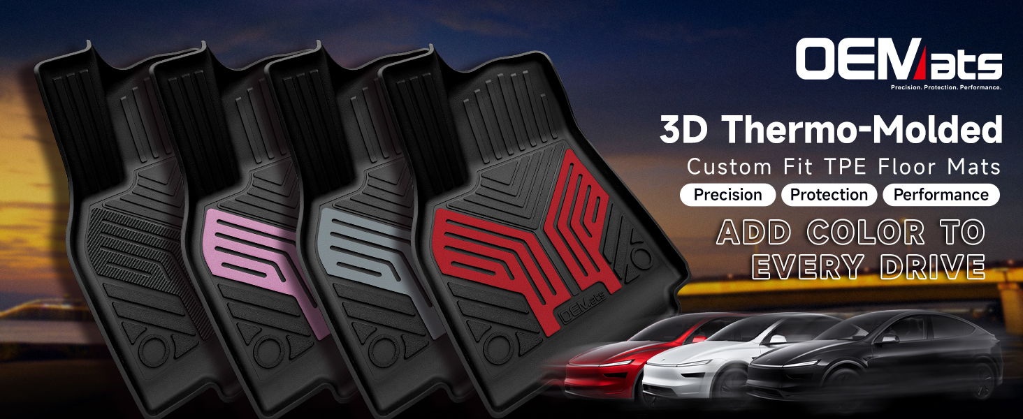 Tesla floor mats
