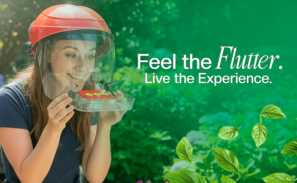 hummingbird feeder helmet