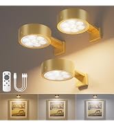 VOLISUN Picture Lights for Wall, 15.7'' Rechargeable Picture Light Battery Operated, 3 Color Temp...