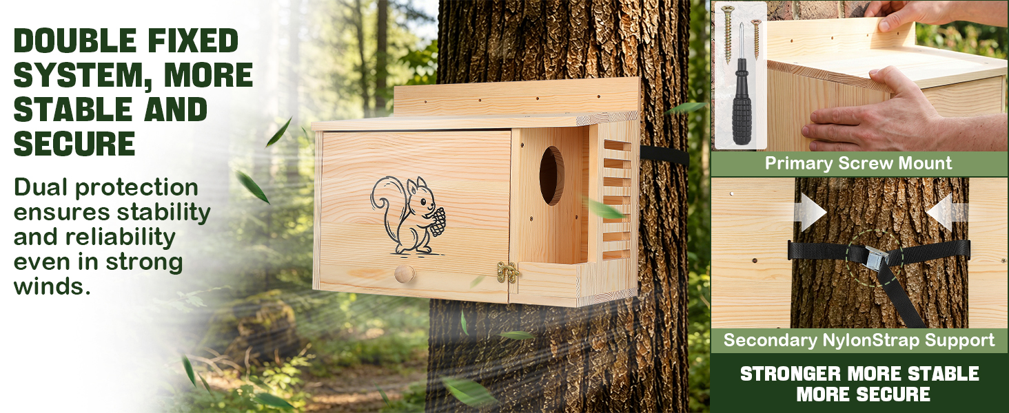 squirrel feeder