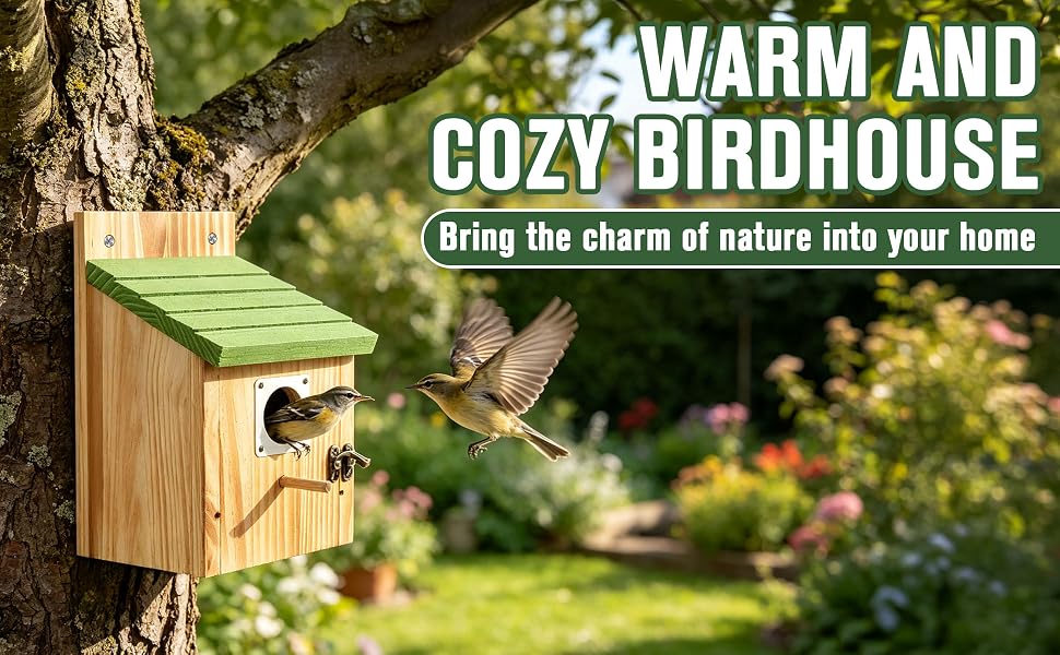 bird house
