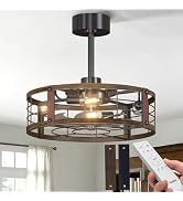 Passky 20" Farmhouse Flush Mount Ceiling Fans with Lights and Remote, Industrial Black Caged Low ...