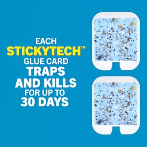 safer home stickytech glue cards trap and kill insects for up to 30 days