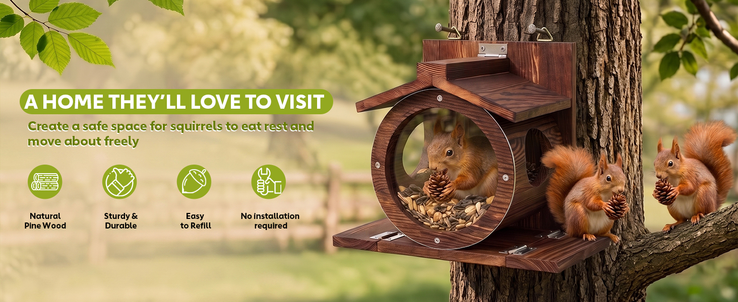 squirrel feeders