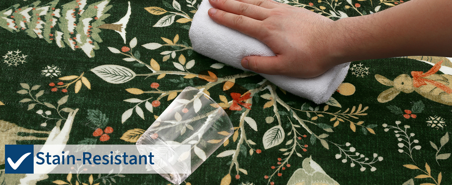 Stain Resistant Area Rug