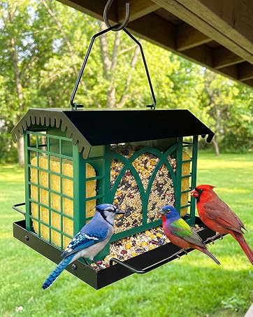 Feeders Bird