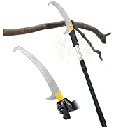 BlumeTrec Fruit Picker
