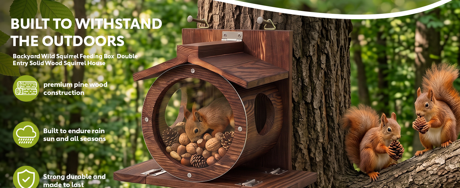 squirrel feeders for outdoors