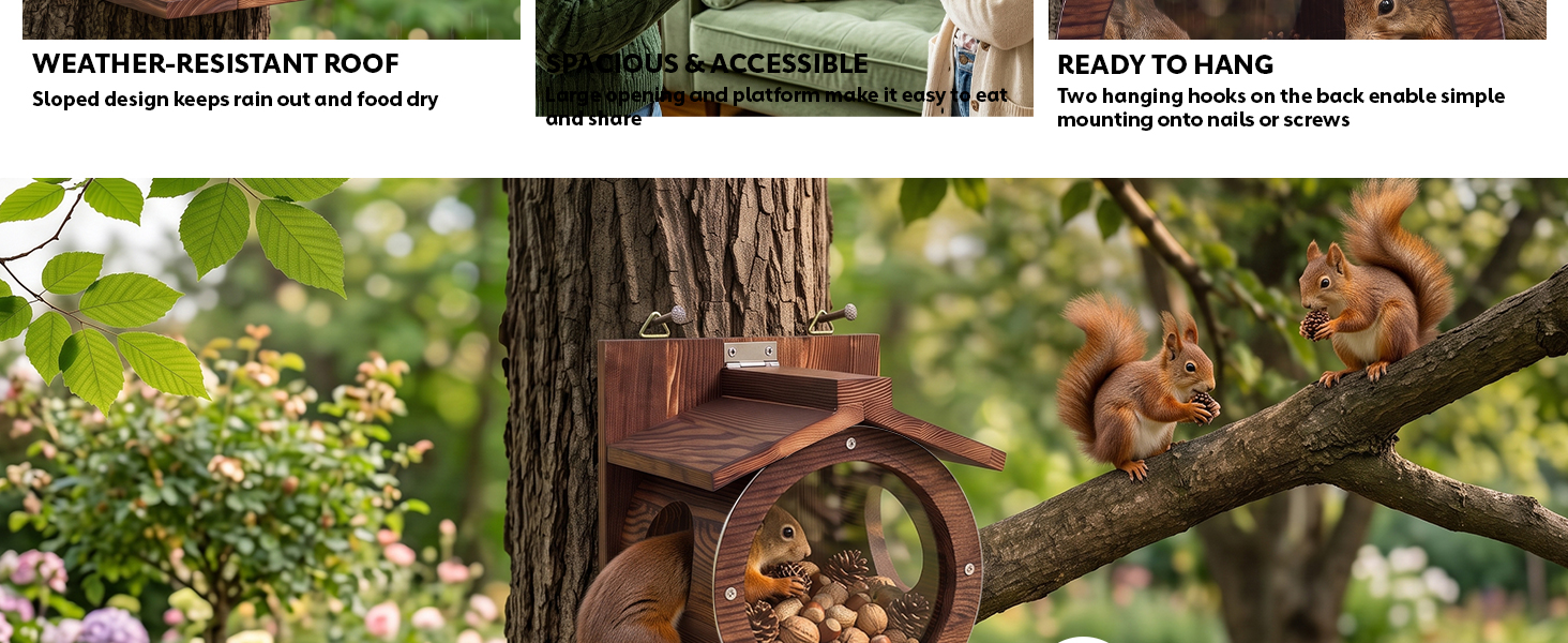 squirrel box