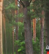 Electric Lawn Mower Cordless