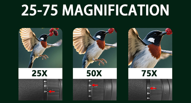 spotting scopes
