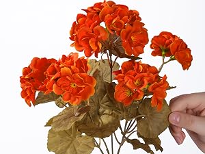 Fake Geranium