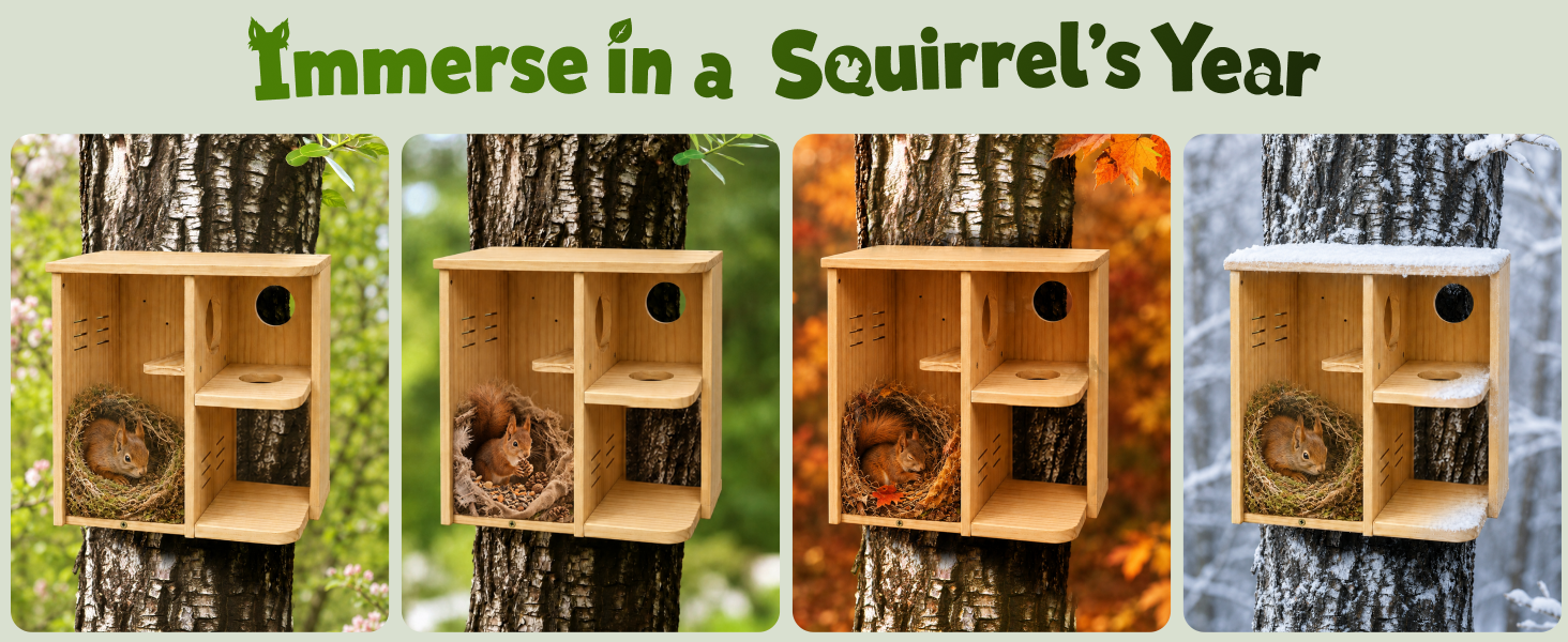 nesting box