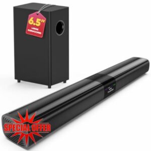 Saiyin Detachable Sound Bar with 6.5" Subwoofer