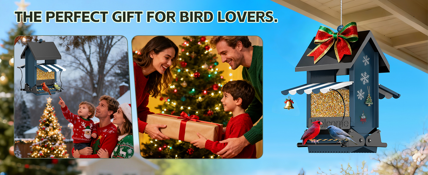 bird feeders for outdoors hanging