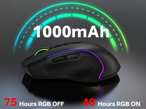 computer mice