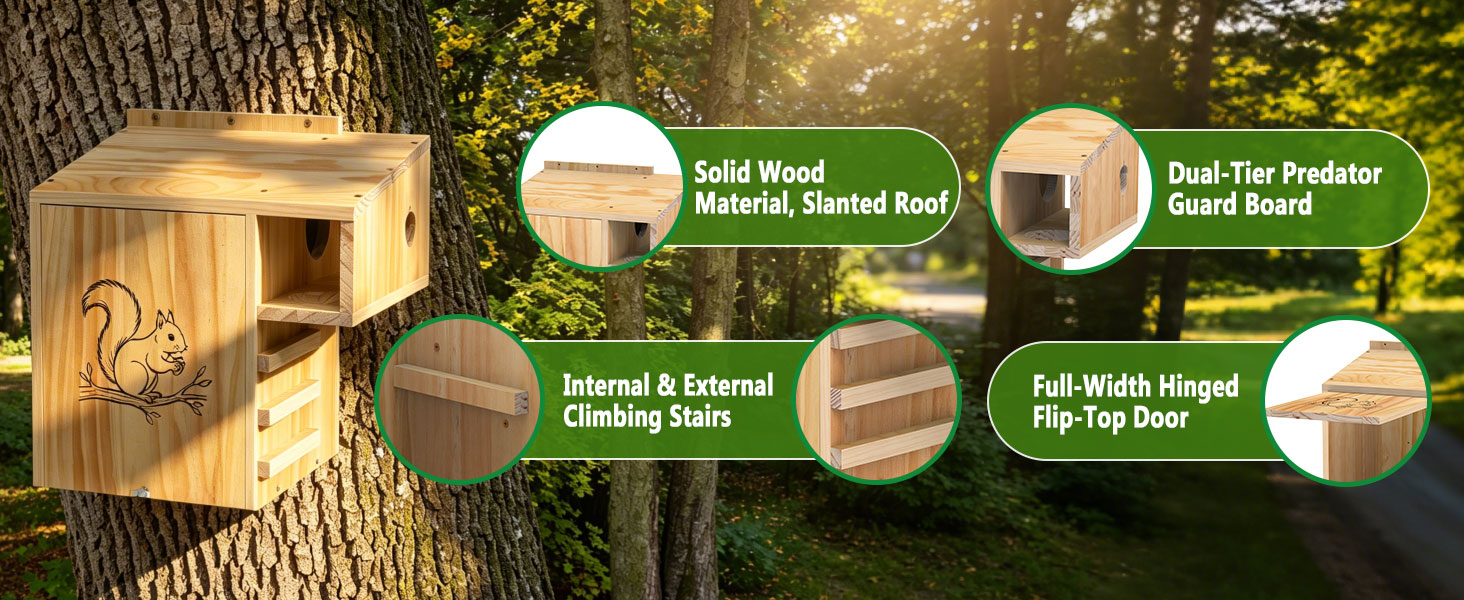 squirrel box house