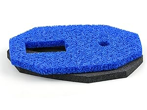 Coarse SpongeDouble Layer Filter Sponge