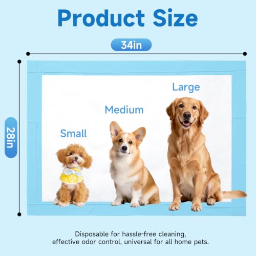 XL Size