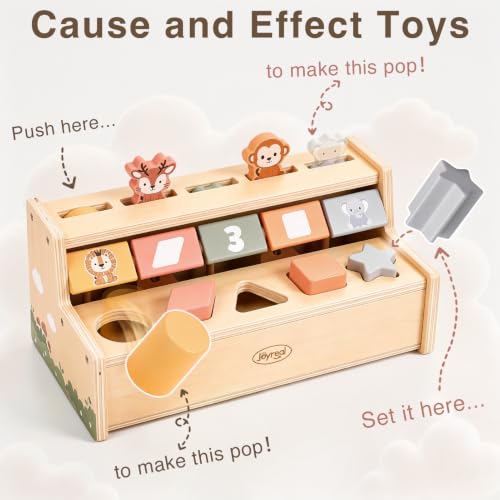 Montessori Cause & Effect Learning Toys