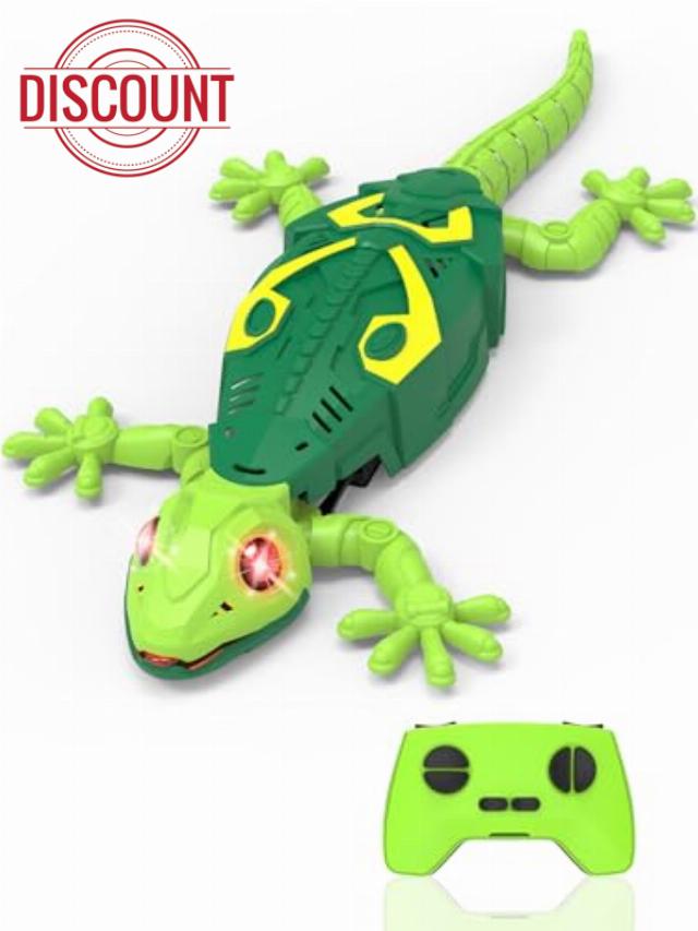 Wall Climbing Lizard