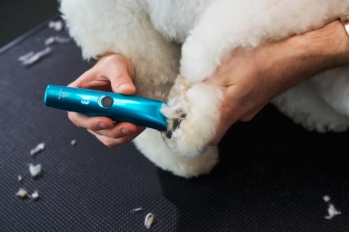 Blue Removable blade