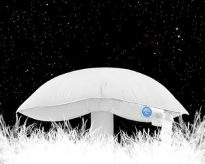 1650+ Fill Power White Down Pillow with 800 Thread Count Cotton Shell