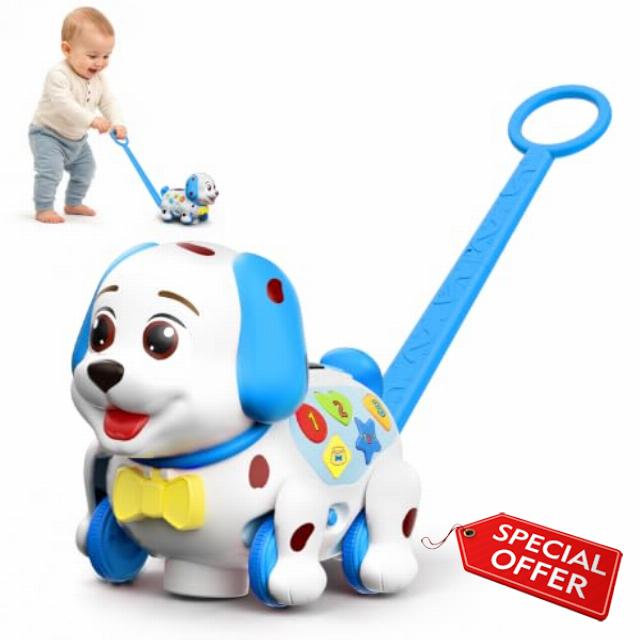 Push Along Puppy Toys for 1 2 Year Old Boy Gifts