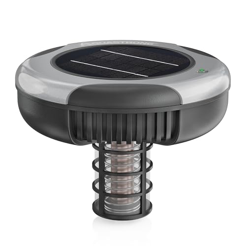 2W Solar Panel