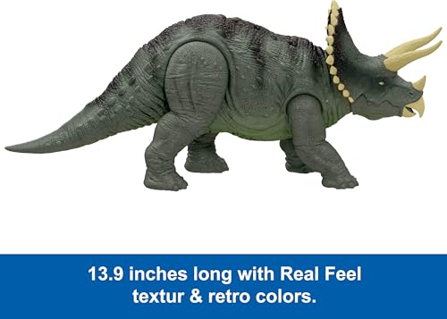 Ages 4+