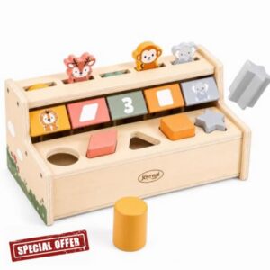 Joyreal Pop Up Toys for 1 Year Old Boy Girl Gifts