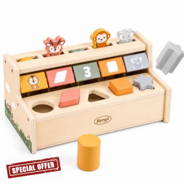 Joyreal Pop Up Toys for 1 Year Old Boy Girl Gifts