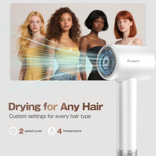 High-Speed Ionic Blow Dryer 110