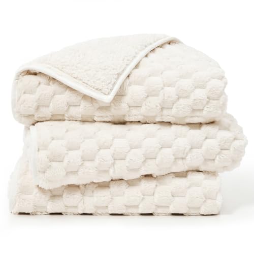Queen Size 60"x80" 15lbs Soft Warm Heavy Blanket for Sleep