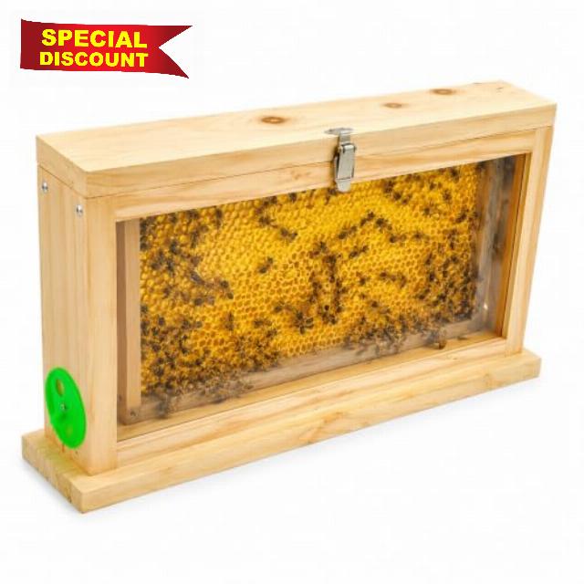 Leinuosen Bee Breeding Observation Box Wood Double Sided Acrylic Board with Vents Bee Observatory for Hive Frames Pollinating Pollinator Houses for the Garden Lover 22 x 12 Inches